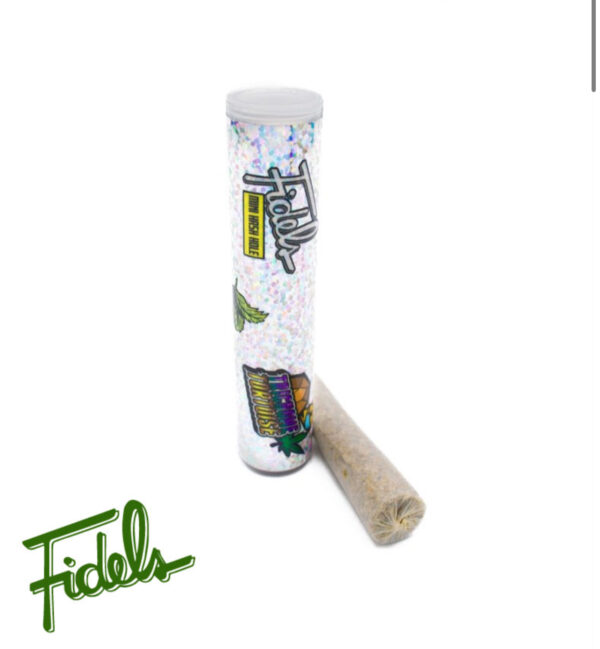 TRICHOME TORTOISE X FIDELS MINI HASH HOLE BY FIDELS